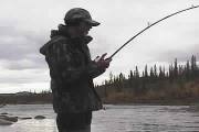 Picture of Fighting a Wilderness Fish