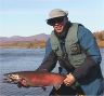 Alaska Salmon