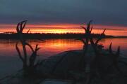 Picture of Sunrise on the Yukon River