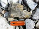 Banded Chert