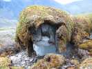 Permafrost Ice Lens