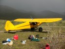 Super Cub