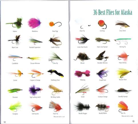 Alaska Pocket Fishing Guide