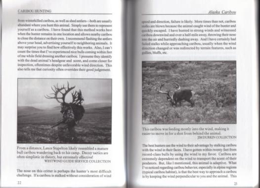 Trophy Bull Caribou Hunting in Alaska