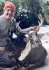 Pennsylvania Whitetail Deer Harvested