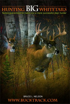 Book Cover-Big Buck!!