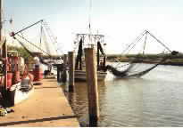 Shrimp Boat
