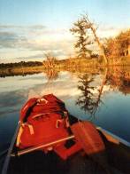 Still Waters