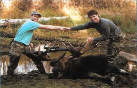 Trophy Bulls