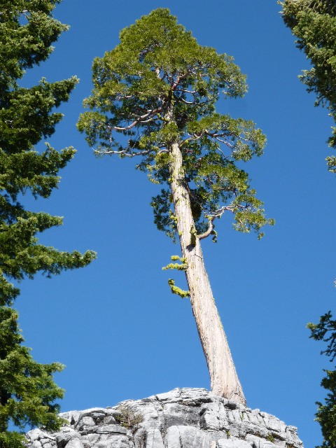 Marble Mountain Wilderness