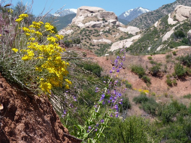 Pacific Crest Trail, Cajon Junction