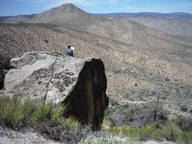 Pct through the Mojave