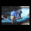 Alaska Fishing Video
